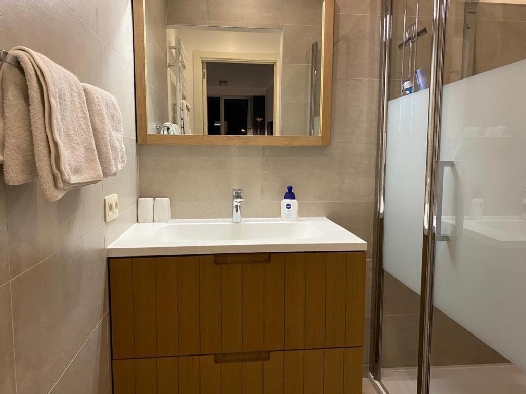 Spacious Studio Knokke-Heist Esterno foto